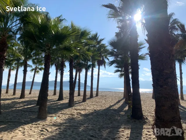 Къща за гости Албатрос -Керамоти, снимка 17 - Къщи - 49623300