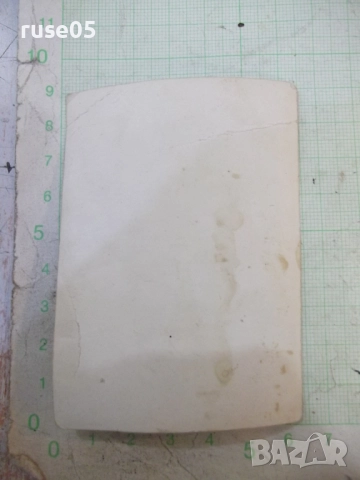 Снимка на семейство, снимка 2 - Колекции - 51990822