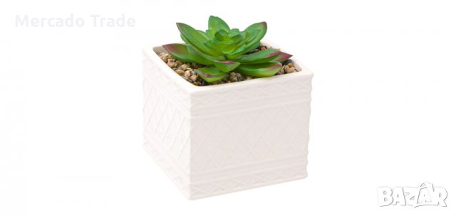 Декоративна керамична бяла саксия с кактус, снимка 1 - Декорация за дома - 35556582