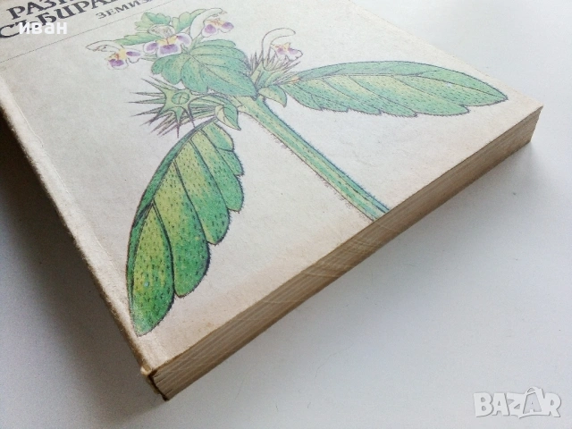 Разпознаване и събиране на билки - Борис Китанов - 1987г., снимка 10 - Енциклопедии, справочници - 53281460