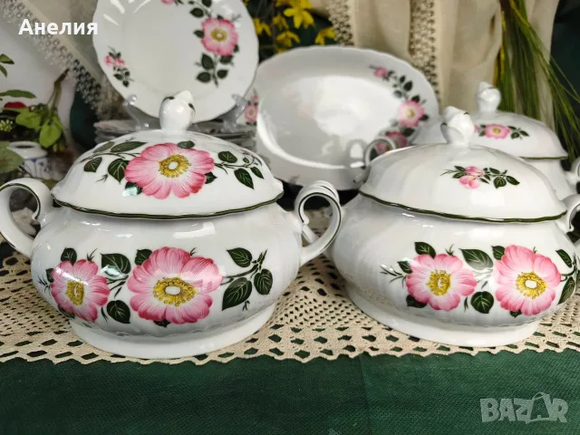 Winterling Bavaria дива роза за хранене , снимка 3 - Чинии - 55711779