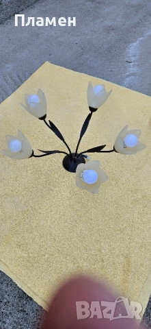 Полилей с пет крушки, снимка 4 - Полилеи - 51962451