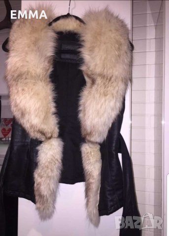 Елек сребърна полярна лисица 