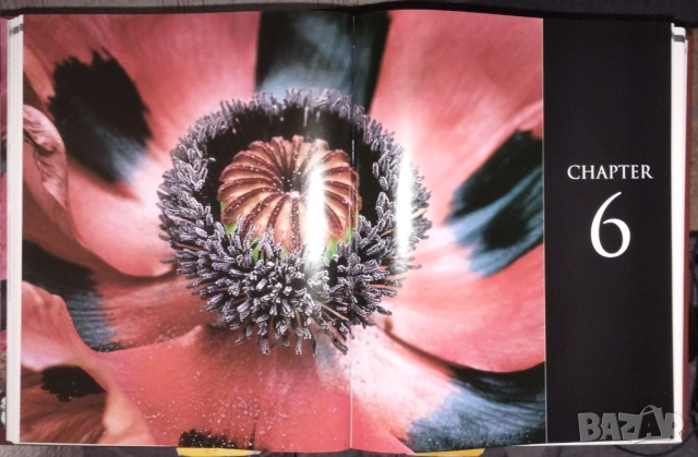 The Royal Horticultural Society Encyclopedia of Gardening, снимка 6 - Енциклопедии, справочници - 53937419