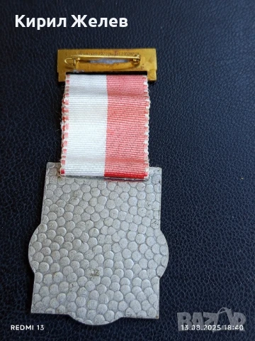 Медал кулата Бисмарк в Салзгитер Германия за КОЛЕКЦИЯ 24315, снимка 5 - Антикварни и старинни предмети - 51357197