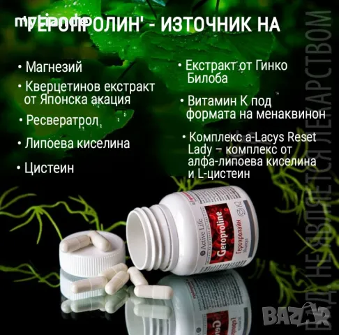 БАД Геропролин, снимка 4 - Хранителни добавки - 47326713