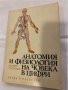 Анатомия и физиология на човека в цифри