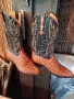 крокодилски ботуши, снимка 2