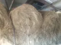 сено, снимка 1