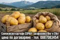Продавам картофи, снимка 1