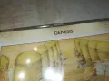 GENESIS-CD 0803251900, снимка 5