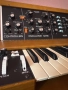 Minimoog Model D reissue , снимка 1