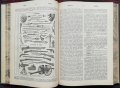Пъленъ илюстрованъ френско-български речникъ въ четири тома. Томъ 1 Драганъ Фетваджиевъ, снимка 5