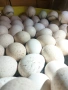 Оплодени пуешки яйца., снимка 1