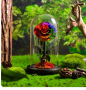 вечна роза в стъкленица, снимка 1 - Декорация за дома - 44568346