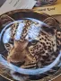 декоративна порцеланова чиния леопард Royal Doulton    15/2, снимка 3