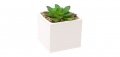 Декоративна керамична бяла саксия с кактус, снимка 1