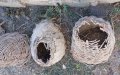 6 броя (шест) стари пчелни кошера, плетени, пчелен кошер, кошери, кош, мивка, кантар, снимка 3
