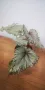 Бегония рекс "Асиан Тундра" (Begonia Rex "Asian Tundra") , снимка 1