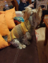 Плетени дрешки за кучета М размер, снимка 8