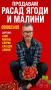 предлагам илитен расад ягоди, снимка 2