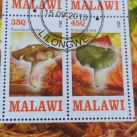 Пощенски марки чиста комплектна серия ГЪБИ 2013г. поща Малави за колекция 29802, снимка 7 - Филателия - 37689347