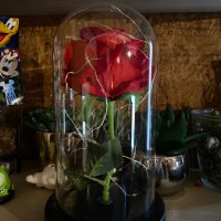 Роза в стъкленица, снимка 5 - Подаръци за жени - 27275009