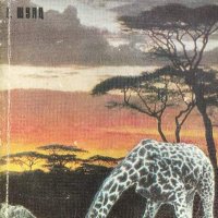 Сред жирафи и слонове - Екхард Шулц, снимка 1 - Художествена литература - 39696713