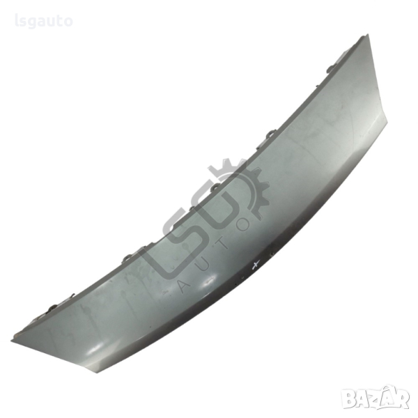 Лайсна над предна броня Renault Scenic II 2004-2009 ID: 123031, снимка 1