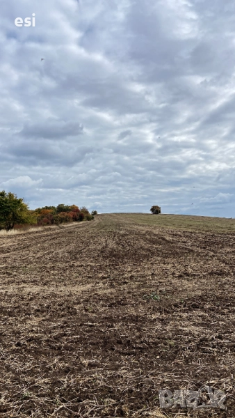 Земеделска земя до Варна – Дългопол - от Собственик, снимка 1