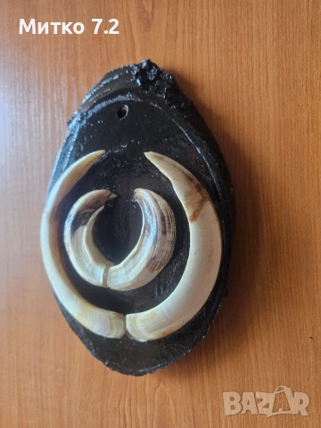  трофей от глиган, снимка 4 - Декорация за дома - 53899871