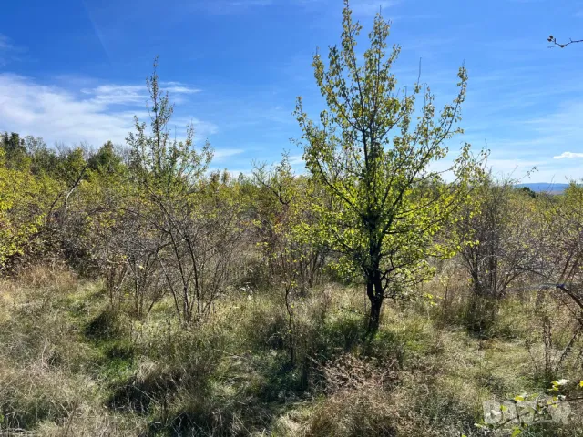 Парцел 565 кв по пътя Енина - Долно Изворово след Розовите Къщи. Земеделска Земя за Градина и Ферма