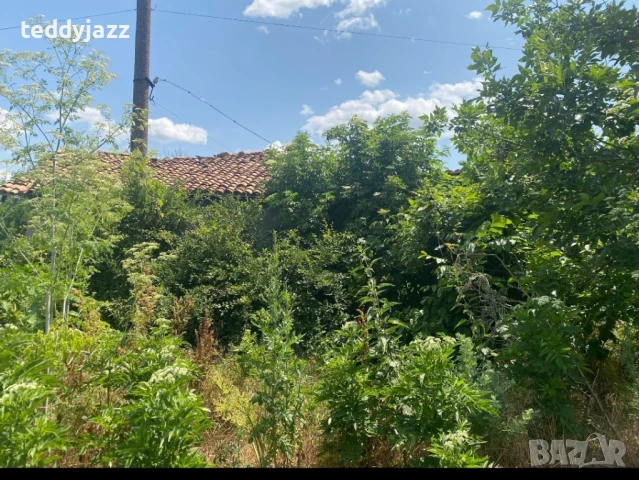 Къща с двор с.Ивански, снимка 2 - Къщи - 50662159