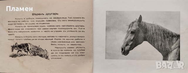 Другари-животни Ценко Цветанов, снимка 2 - Антикварни и старинни предмети - 44744649