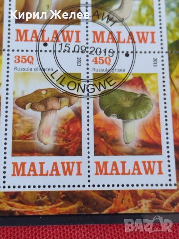 Пощенски марки чиста комплектна серия ГЪБИ 2013г. поща Малави за колекция 29802, снимка 7 - Филателия - 37689347