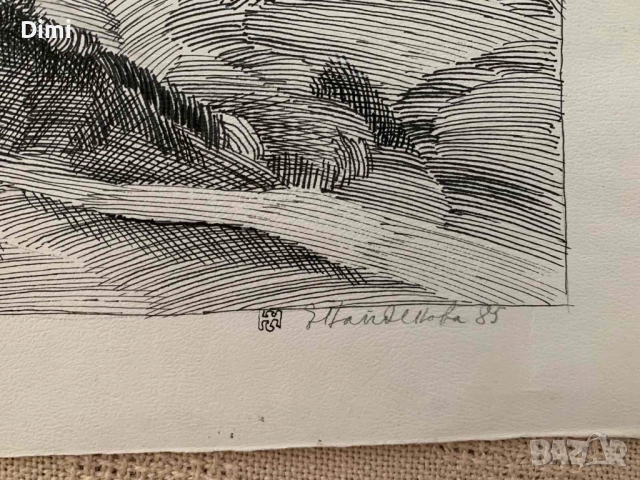 ЕЛКА НАЙДЕНОВА пейзаж – туш, снимка 5 - Картини - 52804184