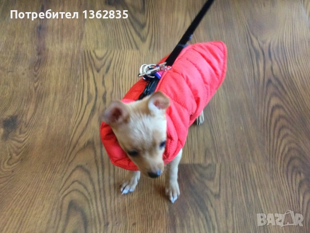 НОВ топъл червен зимен елек / елече / грейка за куче от Италия S, M и L размер, снимка 3 - За кучета - 51929069