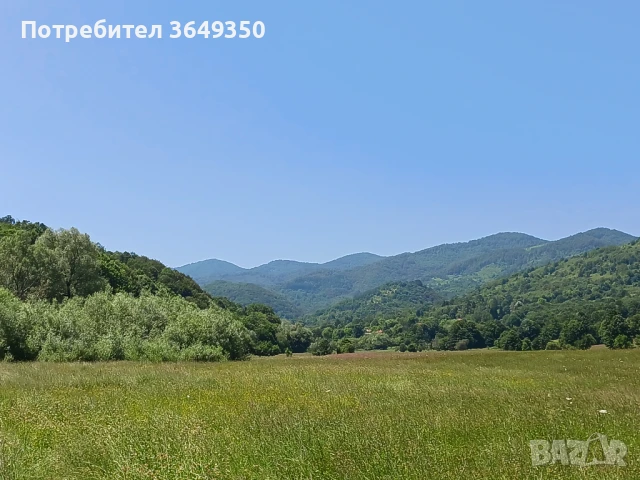 1400 кв.м гора,ливада и дворно място с плодни дървета. На 1 километър от Етрополе, снимка 1