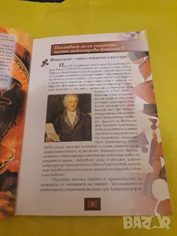 Наслада от шоколада - Никол Швайбер, 112 стр., снимка 3 - Други - 47552280