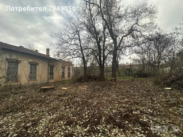 Премахване и кастрене на опасни дървета, снимка 14 - Други услуги - 49334998