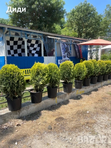 Продава Бунгало Арапя Морски изглед, снимка 3 - Вили - 53060514