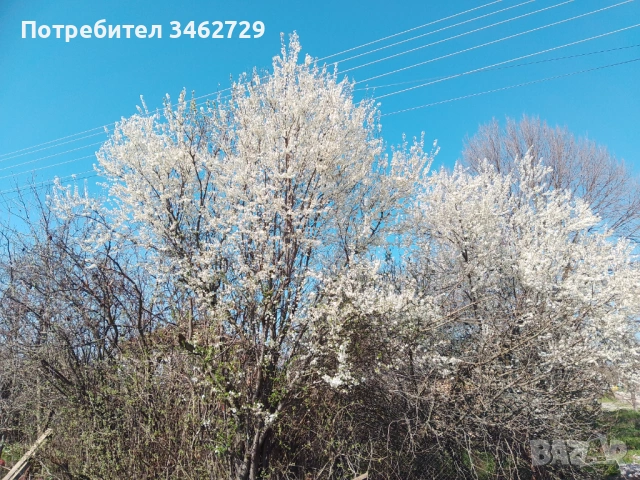 Продавам къща в гр. Каспичан, снимка 3 - Къщи - 54099554