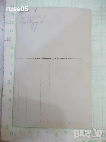 Снимка стара на група в покрайнините на града на излет, снимка 3 - Колекции - 47915836