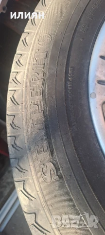 4бр бусови летни гуми 225 65 16 C , Semperit Van Life , снимка 2 - Гуми и джанти - 51136051