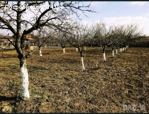 Имот - УПИ с. Комощица, снимка 5 - Парцели - 56451918
