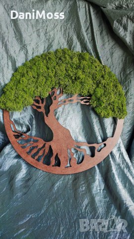 Лазерно гравирано дърво на живота с вечнозелен и вечно жив скандинавски мъх, снимка 4 - Сувенири от дърво - 42025644
