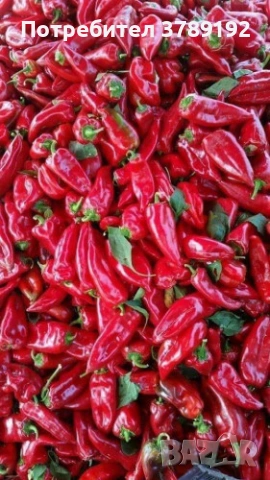 Разнос на Търговия