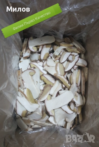 Гъби Замразена Манатарка, снимка 2 - Домашни продукти - 52558847