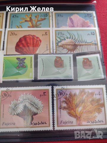 Пощенски марки серия ЕКЗОТИЧНИ РИБИ,РАКОВИНИ за КОЛЕКЦИЯ 37886, снимка 13 - Филателия - 40455113