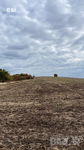 Рента 100 лв - 5 до 10 Декара по ваш избор Земеделска земя Варна – Дългопол - от Собственик, снимка 2 - Земеделска земя - 51492770